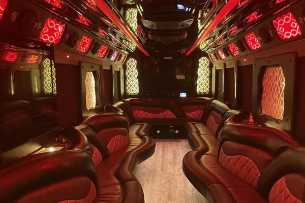 40-45 Passengers Party Bus Series (6)