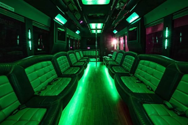 Limo Luxury White Party Bus For 35 Passengers (6)