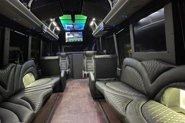Limo Party Bus THE TIFFANY for 26 Passengers (3)