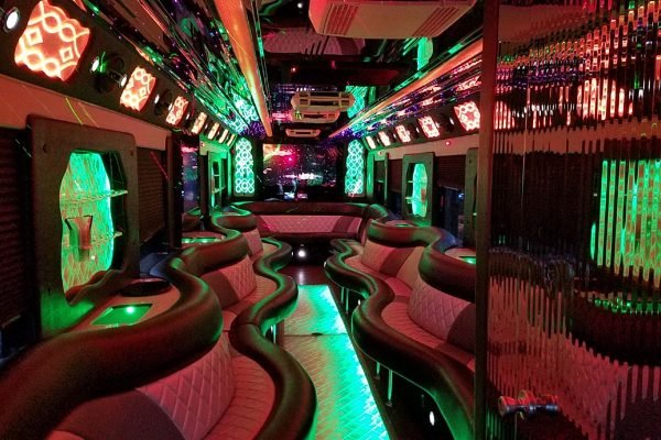 Limo Party Bus White for 40 Passengers (7)
