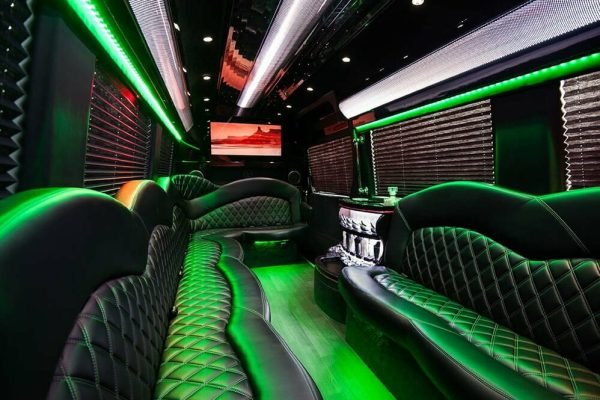 Limo Party Bus White for Passengers 25 (4)
