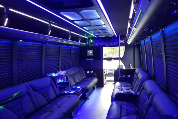 Limo Party Bus for 25 Passengers with Pole (5)