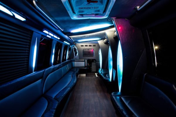 Limo Party Bus for 35 Passengers (5)