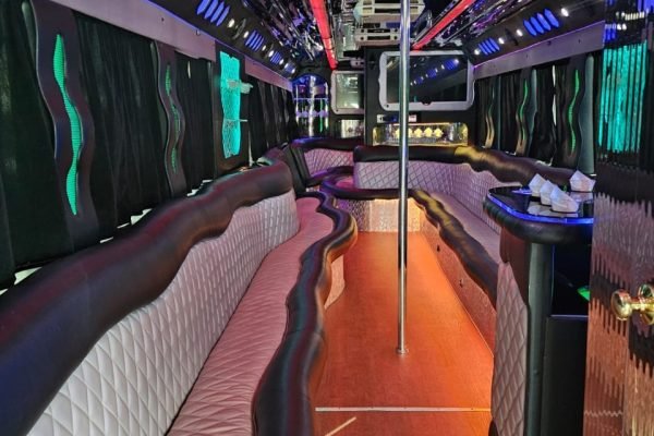 Limo Party Bus for 40 Passengers (3)