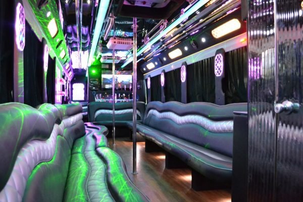 Limo Party Bus with 2 Poles for 28 Passengers (3)