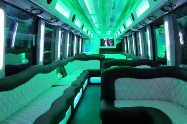 Mercedes Setra Party Bus for 60 Passengers- (5)
