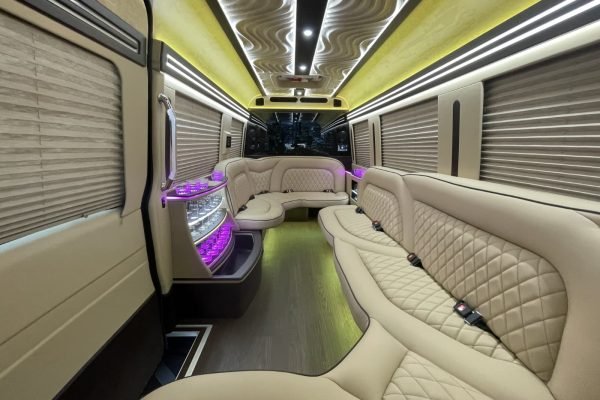 Mercedes Sprinter Limousine Black for 14 Passengers (6)