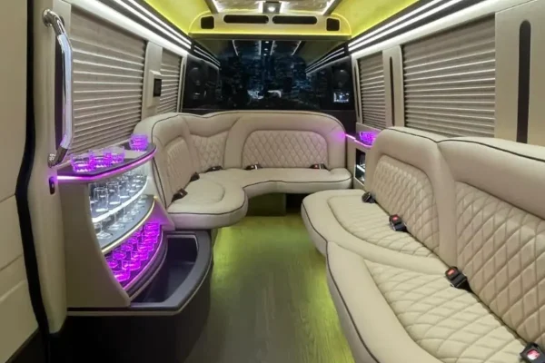 Mercedes Sprinter Limousine Black for 14 Passengers (6)