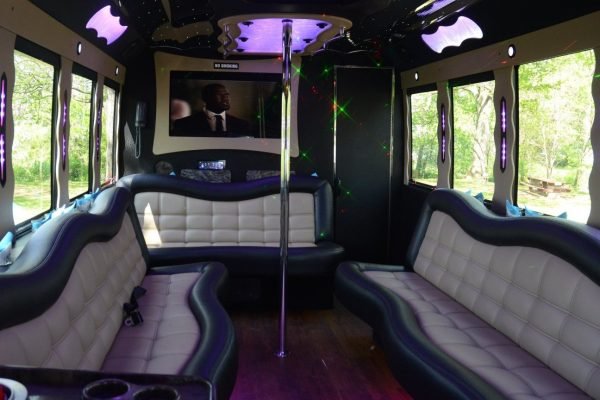 Party Bus 20 Passengers Gem Club on Wheels (6)