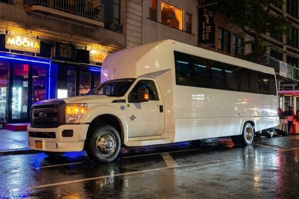 Party Bus with Pole 20-25 Passengers