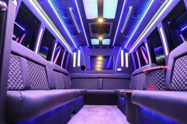 Party Bus with Pole 20-25 Passengers55
