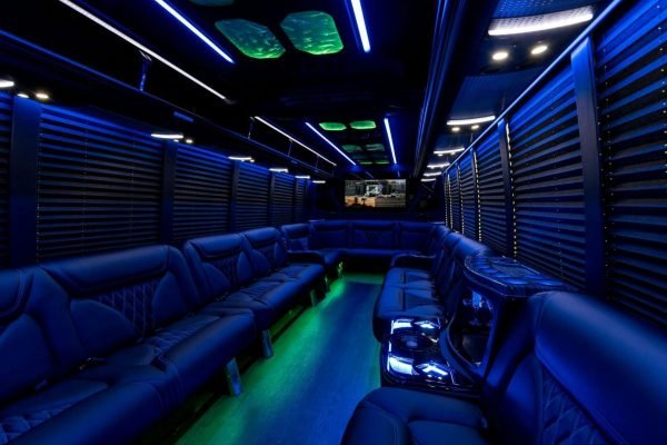 Queen Anne Party Bus for 20 Passengers (4)