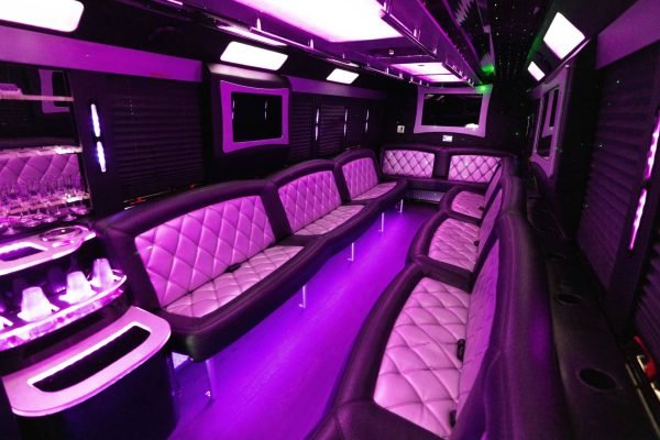The White Night Party Bus for 30 Passengers (3)
