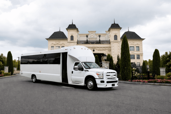 The White Night Party Bus for 30 Passengers