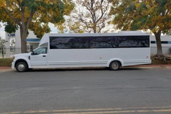 Tiffany Limo Party Bus White For 50 Passengers (5)