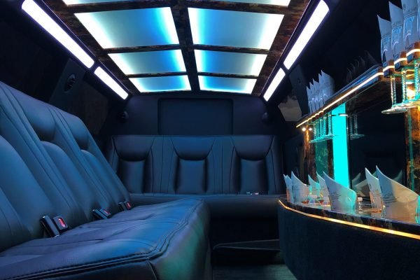 fleet-gallery-stretch-limo-10-passenger10-scaled