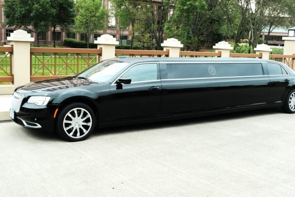 fleet-gallery-stretch-limo-10-passenger14