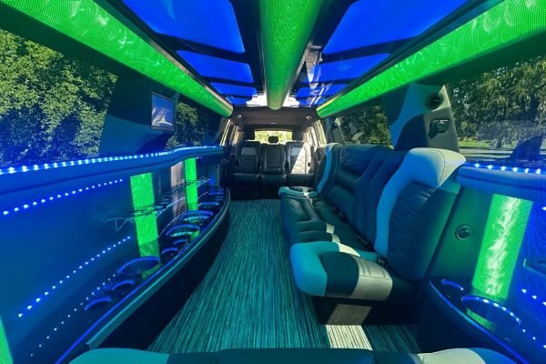 luxury lincoln navigator limo rental for 20 Passengers (7)