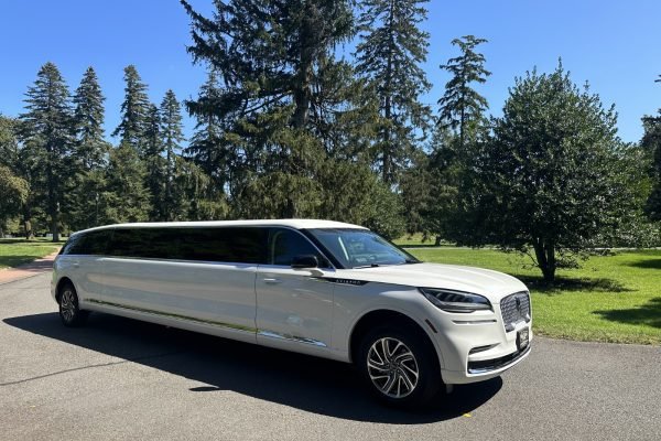 luxury lincoln navigator limo rental for 20 Passengers (8)