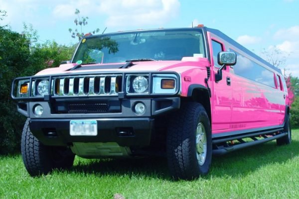 pinkHummer-700x463