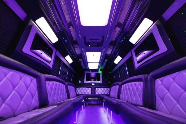 the-white-night-party-bus-for-30-passengers-rental-2