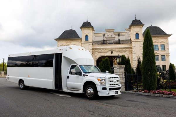 the-white-night-party-bus-for-30-passengers-rental-3